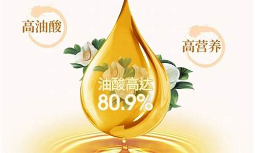 2012年茶油价格_今年茶油价格的走势图