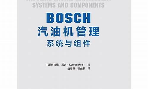 bosch汽油机管理系统_博世喷油器维修参数